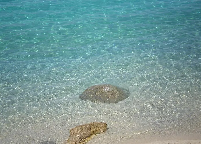 Rosy And Roby לינה וארוחת בוקר